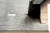 Shingles Losing Granules