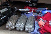 2-liter bottles filled with organic cat litter 2-liter bottles filled with organic cat litter